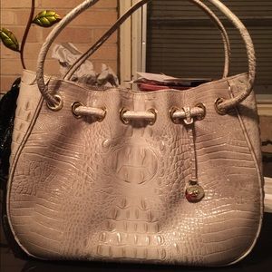 Amy seashell Melbourne